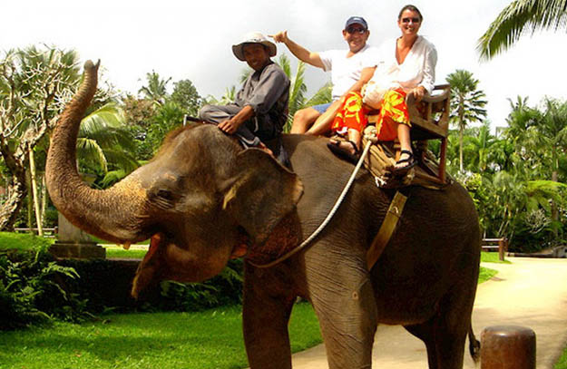 Best Elephant Ride In Bali The Unique Experience Which You Can Bring Home Best Elephant Ride In Bali The Unique Experience Which You Can Bring Home